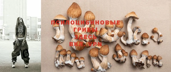 кристаллы Бородино