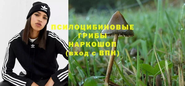 кристаллы Бородино