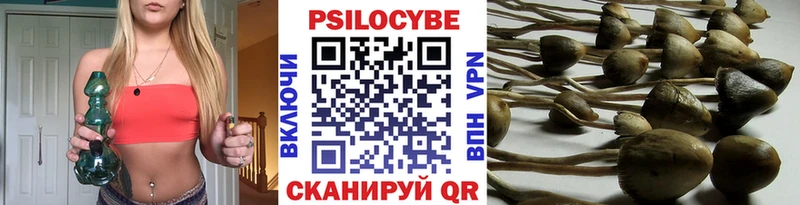 Псилоцибиновые грибы GOLDEN TEACHER  Горнозаводск 